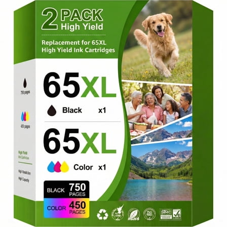 65 Ink Cartridges Compatible for HP 65 Ink Cartridges for HP Ink 65 for DeskJet 2652 Envy 5052 5058（2 Pack）
