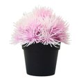 thumbnail image 5 of Fake Plants Mini Potted - Artificial Potted Flowers with Pot Small Faux Plants Indoor Plastic No Fade for Office Desktop Table Window Sill Bathroom, 5 of 8