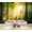 Color 3, variant on Wallpaper Tropical Island Palm Sea Beach Palm Trees Clear Water Sunny Sky Island Peel and Stick Wall Murals 69"H x 96"W Removable PVC Wall Paper Self-Adhesive Wall Decor for Bedroom Living Room