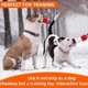 thumbnail image 4 of Freezable Dog Teething Toys - Cooling Chew Toys for Dogs, Durable Dog Toys for Aggressive Chewer, Tough Dog Chew Toys for Large Medium Small Breed - -, 4 of 4