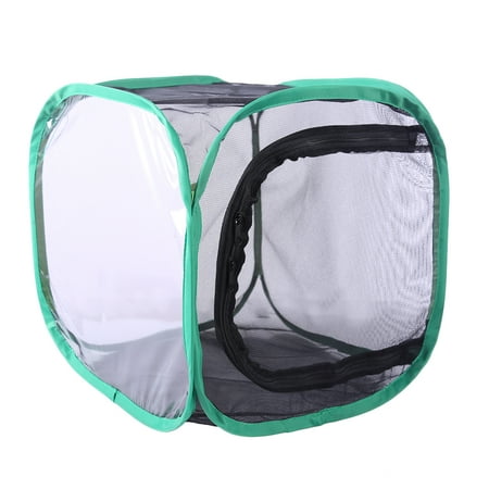 Butterfly and Insect Habitat Cage Mesh Terrarium Pop-up - Black Net + Green Edge S