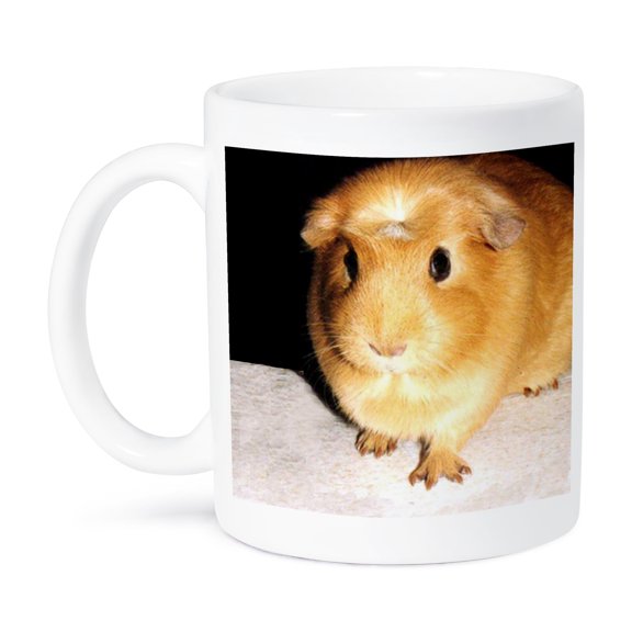 3dRose, Guinea Pig, 11oz Mug