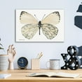 thumbnail image 3 of Epic Art 'Butterfly 2' by Stellar Design Studio, Acrylic Glass Wall Art, 16"x12", 3 of 3