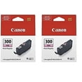 thumbnail image 1 of Tinta fotográfica Canon PFI-300 Lucia PRO Magenta para impresora imagePROGRAF PRO-300 (paquete de 2), 1 of 2