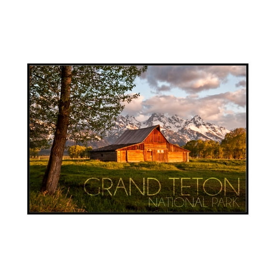 Grand Teton National Park, Wyoming - Barn & Tree - Lantern Press Photography (36x24 Framed Gallery Wrapped Stretched Canvas)