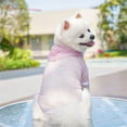 thumbnail image 6 of Pink L Size Pet Hooded Vest, Dog Cat Apparel for Spring Summer - Mesh Fabric, Striped Pattern, Hooded Design, Breathable, Lightweight & Skin-Friendly - for Small Medium Dogs Cats, Daily Wear, Outdoor, 6 of 6