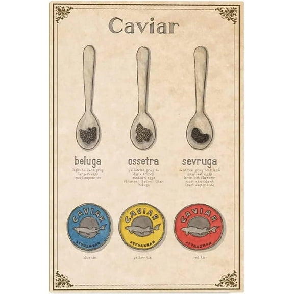 Caviar Type Metal Signs Wall Decor Home Kitchen Infographic Knowledge Posters Restaurant Kitchen Home Sushi Restaurant Plaque Chef (Aluminum) Size: 12 x 16 inch