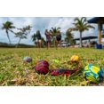 thumbnail image 4 of Juego de petanca Waboba FLUNGLE, 4 of 5