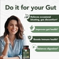 thumbnail image 6 of Herbal Bee Gut Health Capsules for Gas and Bloating Relief, Immune Support Supplement, 60 Count, 6 of 9