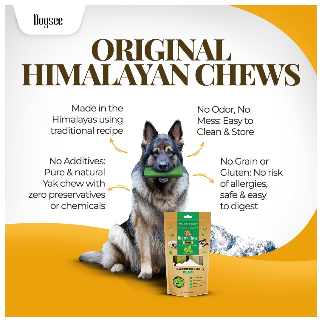 Dogsee Mint Yak Cheese Dental Chews Medium Dogs 1 lb 6 Odorless Bars
