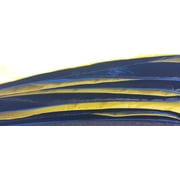 Bounce Pro 14' Round Replacement Spring Pad, Blue & Yellow