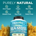 thumbnail image 7 of NutriVein Organic Sea Moss 1600 mg Gut and Thyroid Support 120 Capsules, 7 of 7