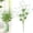 B, variant on NANDIYNZHI St Patricks Day Decorations, Shamrock Picks Artificial Shamrock Stems Clover Shaped Berry Branches, Patrick's Day Wooden Flowers for Home Decor