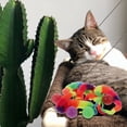 thumbnail image 2 of 5 pelotas interactivas para gatos con gusanos arcoíris para perseguirlos., 2 of 8