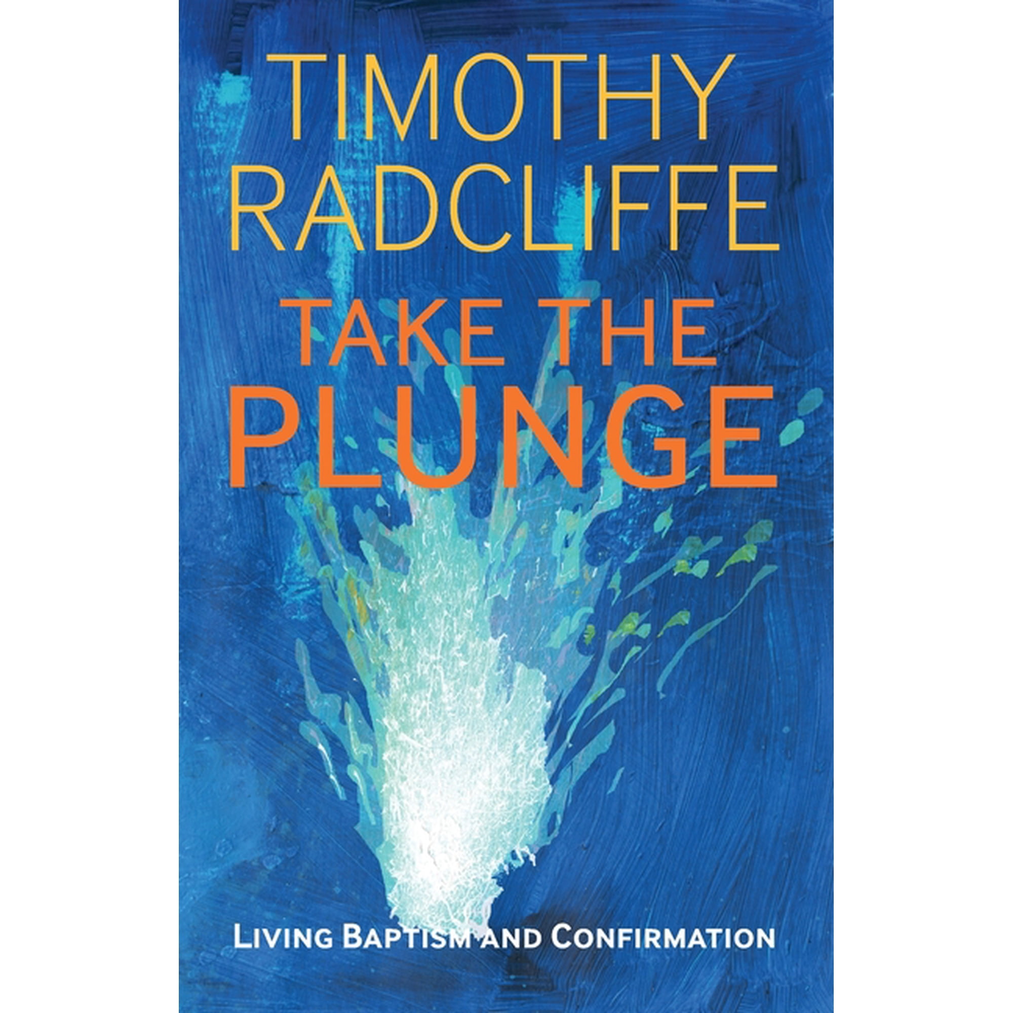 Take the Plunge : Living Baptism and Confirmation (Paperback)