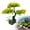 C, variant on IUAMXWU Multi-Color Realistic Cherry Blossom Artificial Aquarium Tree, Lifelike Plastic Underwater Plant Decor, Elegant Landscape Ornament For Household Fish Tank Natural Scenery Layout Use