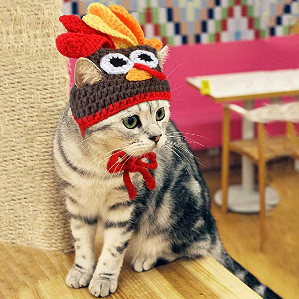 Pet Supplies RYPET Thanksgiving Cat Costume 2 Pack Pet Turkey Hat