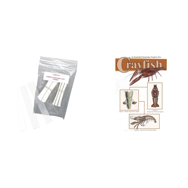 Kit combinado de papel de cromatografía Casafoyer y disección de cangrejos