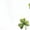White2, variant on St Patricks Day Cute Icon Grid Print Graphic Sweatshirt Black S-2XL Womens Kawaii Tops