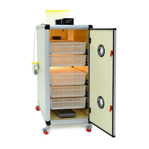 HB350H Egg Hatcher with Automatic Humidity Control, Chick Hatching Baskets, Perfect Poultry Hatcher, Set and Forget Design for Poultry Enthusiasts - Cimuka by Hatching Time
