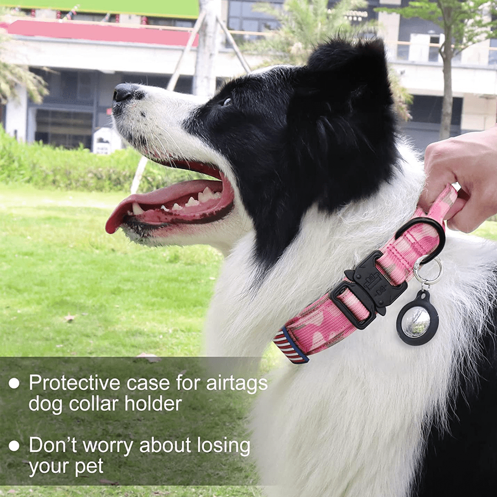 Weighted dog training collar. Large breeds. 5 lbs total. removable weights  - Bestia Collars