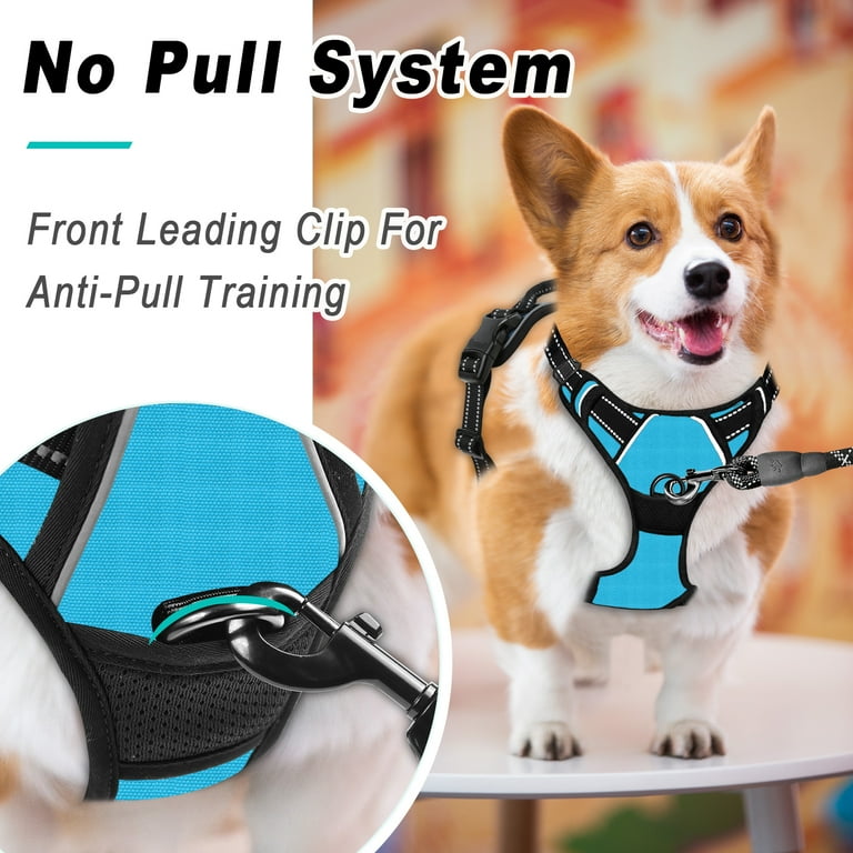 BARKBAY No Pull Dog Harness for Large Dogs with 2 Metal Leash Clips Reflective and Easy Control Handle for Walking Training Running Blue L