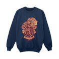 thumbnail image 1 of Harry Potter Boys Gryffindor Sketch Crest Sweatshirt, 1 of 3