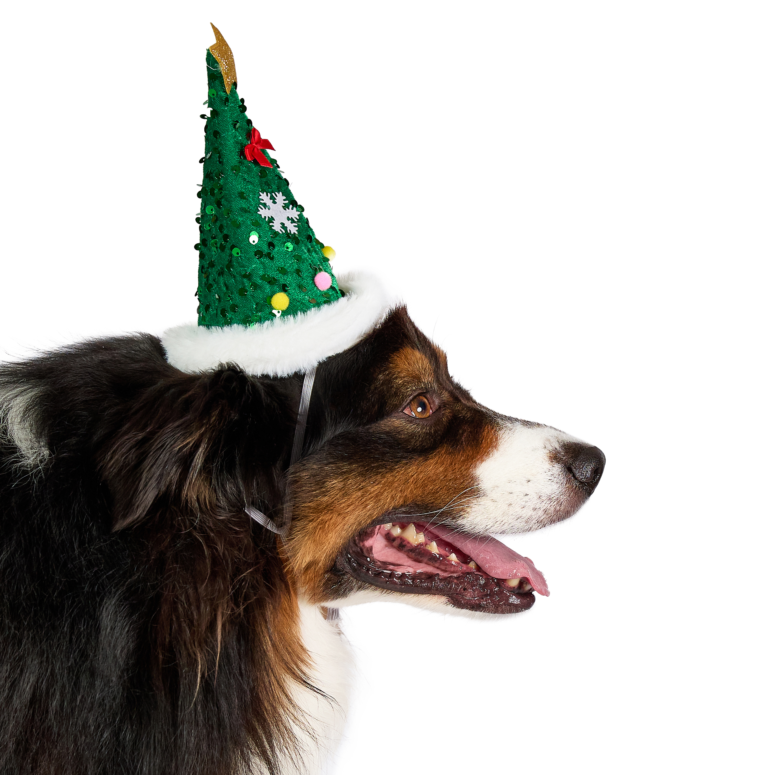 Vibrant Life Holiday Pet Accessory for Cats and Dogs, Christmas Tree Hat, Green, Medium/Large