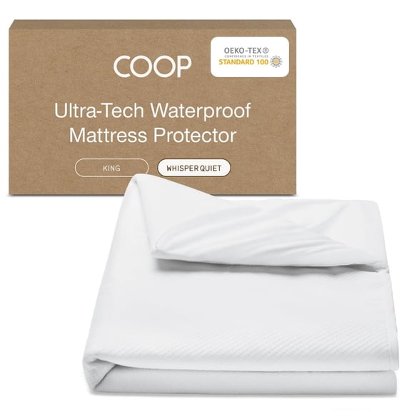 BEDELITE Fleece Queen Comforter Set -Super Soft & Warm Fluffy Cream White Bedding, Luxury Fuzzy Heavy Bed Set for Winter with 2 Pillow Cases