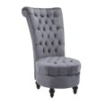 thumbnail image 1 of 45" Tufted High Back Velvet Accent Chair Living Room Soft Padded Couch Lounge Ash Grey, 1 of 7