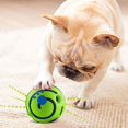 thumbnail image 1 of Wobble Balle Interactive pour Chien, 1 of 3