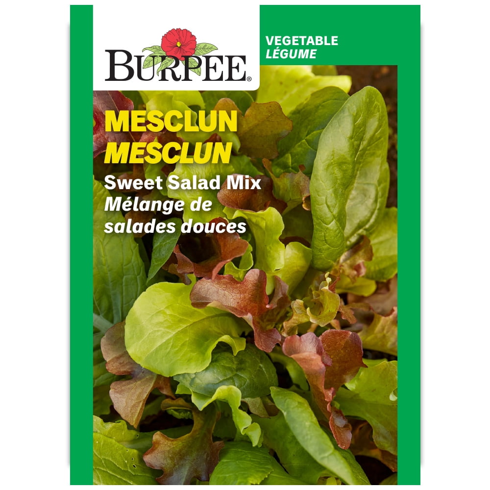 Burpee Sweet Salad Mix Mesclun