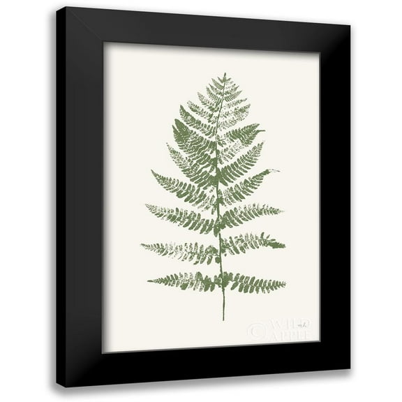 Hershey, Moira 11x14 Black Modern Framed Museum Art Print Titled - Fern Print II White Crop