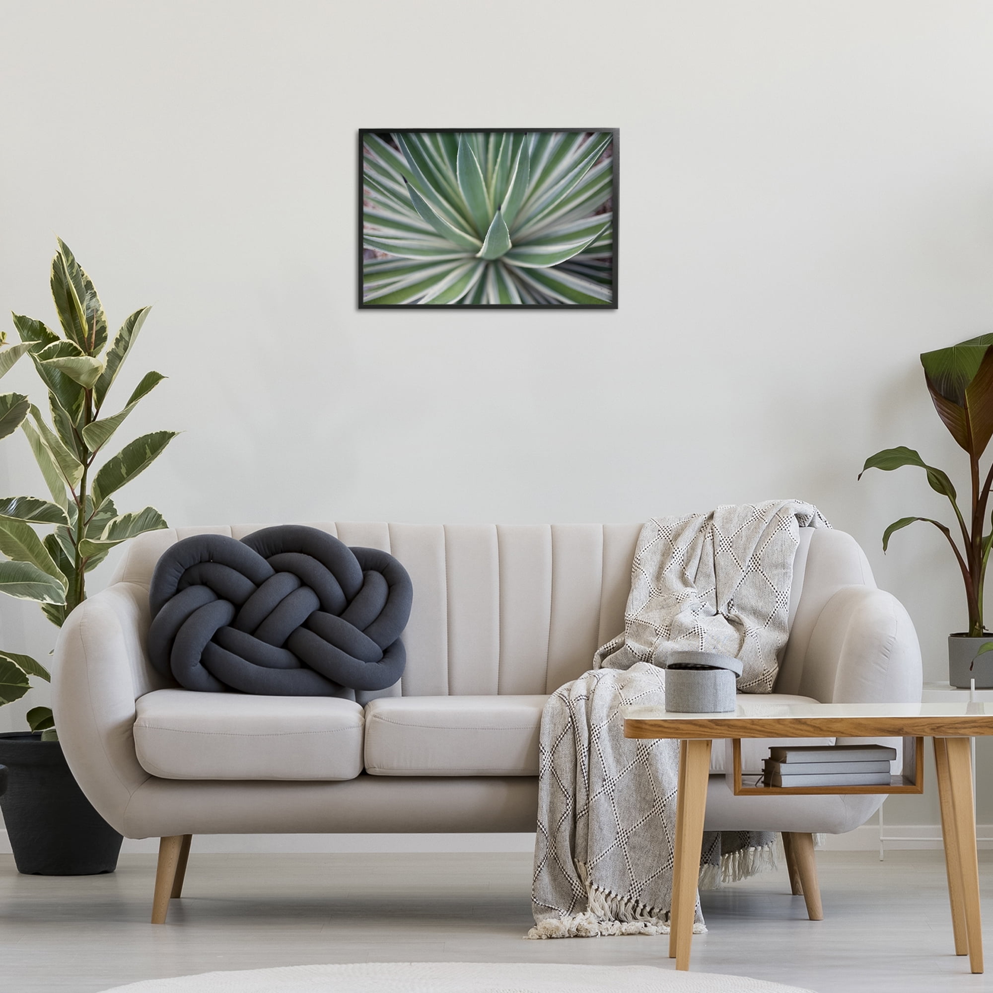 Stupell Industries Striped Plant Leaves Botanical & Floral Photography Black Framed Art Print Wall Art, 24 x 16