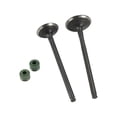 thumbnail image 1 of Valvula de admision escape Set RODA Italika V 200 2018-2022, 1 of 3