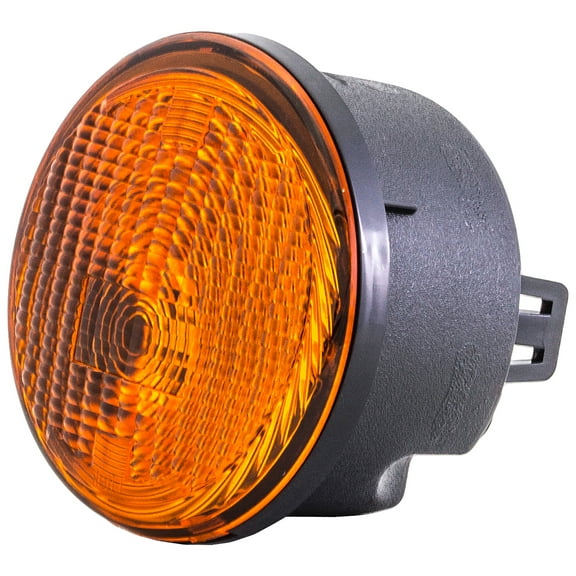 Dorman 1631376 Passenger Side Parking Light Assembly for Specific Jeep Models