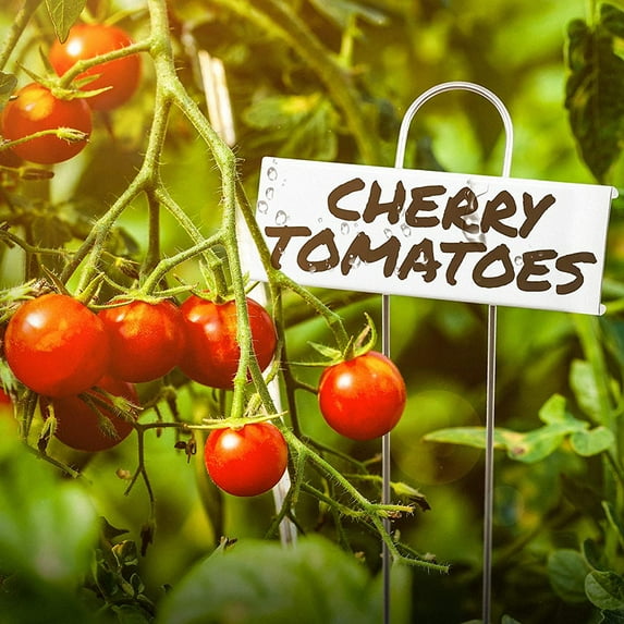 Naierhg 24Pcs Stainless Steel Sign Markers Plant Nameplate Labels Tags Gardening Tool,Silver