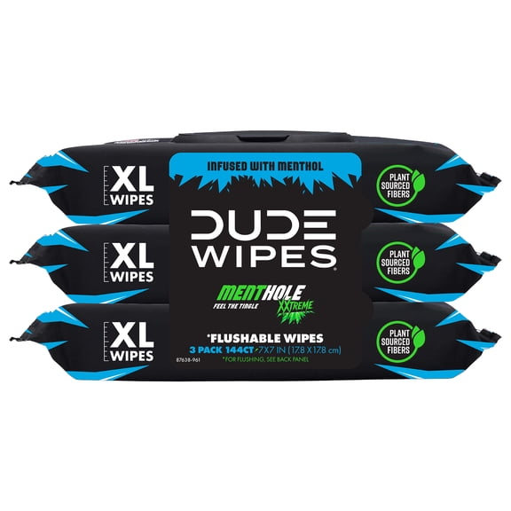 DUDE Wipes MentHOLE XXtreme, Extra Large Flushable Wipes, 48 Count, 3 Pack (144 Total)
