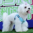 thumbnail image 4 of Small Dog Harness Vest with Leash Set, Sports Style No Pull Dog Vest with Leash, Adjustable Pet Harness for Small Dogs Puppy Cat Blue XS, 4 of 6