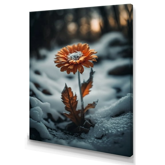 Designart A Blooming Orange Daisy Flower In Winter II Canvas Wall Art