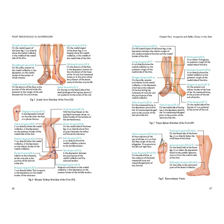 Chinese Medicine Points On Foot Best Sale