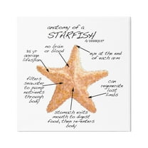 Stupell Industries Anatomy of Starfish Sea Life Wildlife Educational Facts Graphic Art Gallery Wrapped Canvas Print Wall Art, Design by Dishique