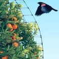 thumbnail image 2 of Bird Net Netting Protect Plants Fruit Trees Wire Mesh Protection Against for Birds, Deer Other Pests Reusable Fencing 7 feet x 100 feet, 2 of 7