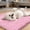 Pink, variant on Ultra Absorbent Pet Doormat for Muddy Dog Paws, Machine Washable Soakstopper Rugs Cleaner Floors, Indoor Entrance Door Rug,Mint Green,16"x 24"