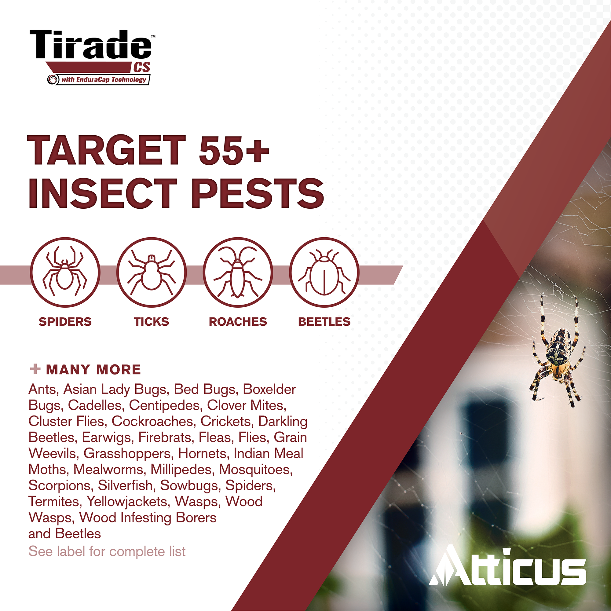 Tirade CS Insecticide (16 oz) Time-Released Indoor & Outdoor Pest Control for Ants, Flies, Fleas, Mosquitoes and More – 6% Cyfluthrin Liquid Concentrate by Atticus