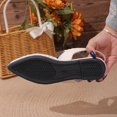 thumbnail image 5 of DIVVce Slingback Flats For Women Floral Embroidery Sheer Mesh Single Woven Instep Strap Pointed Toe Slip On Flat Slingback Shoe Footwear, 5 of 7