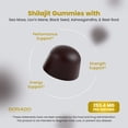 thumbnail image 5 of Shilajit Gummies with Sea Moss, Ashwagandha & Lions Mane - (Shilajit Supplement for Men & Women, Energy & Immunity Support ) Third Party Tested, Vegan Safe, NON GMO & Made in USA (60 Gummies), 5 of 5