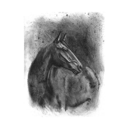 Charcoal Equestrian Portrait III Print Wall Art By Naomi (Best Paper For Charcoal Portraits)