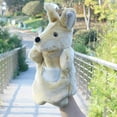 thumbnail image 4 of 2Pcs Storytime Hand Puppets Children Hand Puppet Educational Animal Puppet, 4 of 8