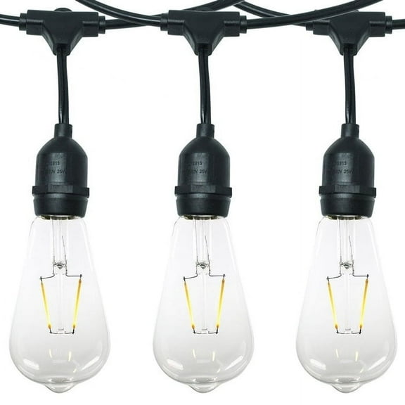 AQ Lighting Plastic Dimmable Outdoor LED 24 Patio String Light in Black